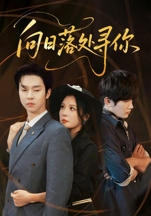 向日落处寻你（70集）最新火爆短剧