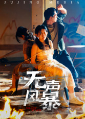 无声风暴（33集）零花钱看整部剧