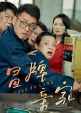 冒牌亲家(30集) 冒牌亲家(30集)全集一网打尽