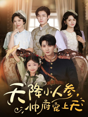 天降小人参，帅府宠上天（83集）免费看短剧全集