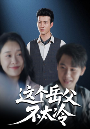 这个岳父不太冷（30集）评价怎么样