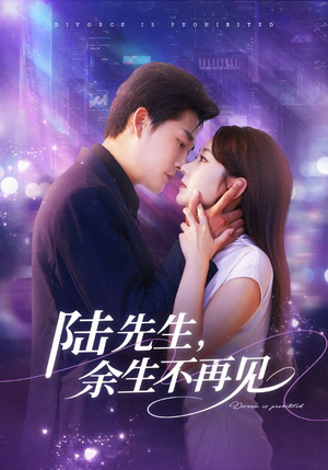 陆先生,余生不再见(88集) 陆先生,余生不再见(88集)甜宠短剧追到爽