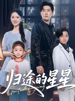 归途的星星（100集）哪个网站可以看