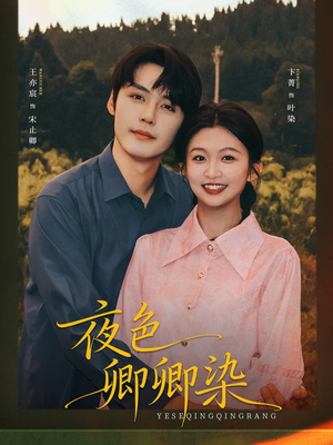 夜色卿卿染(80集) 夜色卿卿染(80集)百度网盘在线看