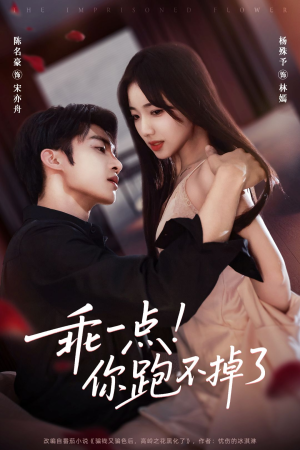 乖一点!你跑不掉了(80集) 乖一点!你跑不掉了(80集)在线看免费版