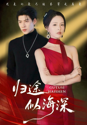 归途似海深（61集）全集免费看短剧