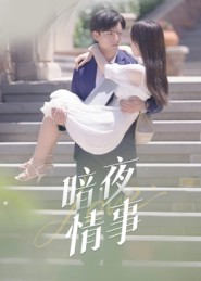 暗夜情事（100集）全集完整版