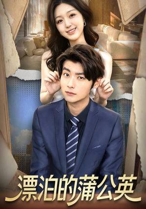 漂泊的蒲公英（60集）看短剧放松一下