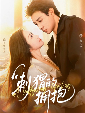 刺猬的拥抱（71集）好看短剧追不停