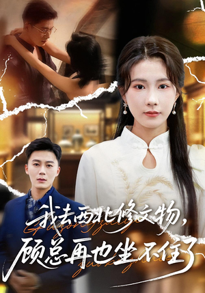 我去西北修文物,顾总再也坐不住了(46集) 我去西北修文物,顾总再也坐不住了(46集)完整版免费观看