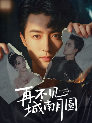 再不见城南月圆（60集）新短剧推荐