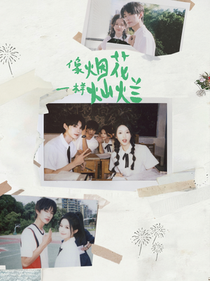 像烟花一样灿烂(60集) 像烟花一样灿烂(60集)短剧上头又好看