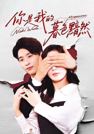 你是我的暮色黯然(80集) 你是我的暮色黯然(80集)高清画质免费看