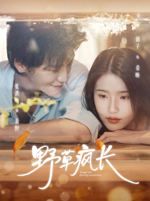 野草疯长(71集) 野草疯长(71集)免费短剧就是爽