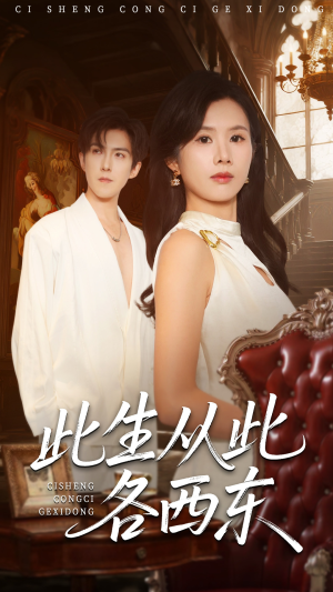 此生从此各西东（60集）评价怎么样
