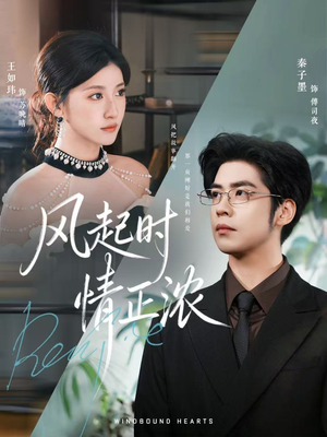 风起时情正浓(79集) 风起时情正浓(79集)真的好看吗