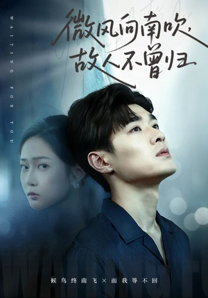 微风向南吹,故人不曾归(72集) 微风向南吹,故人不曾归(72集)西瓜短剧免费看