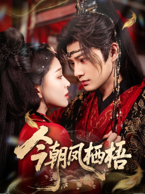 今朝凤栖梧（68集）短剧全集抢先看