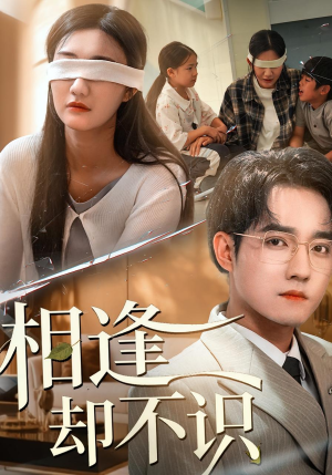 相逢却不识(77集) 相逢却不识(77集)火爆短剧热播中