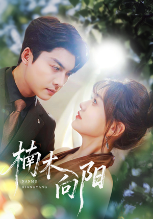 楠木向阳(70集) 楠木向阳(70集)免费看全集