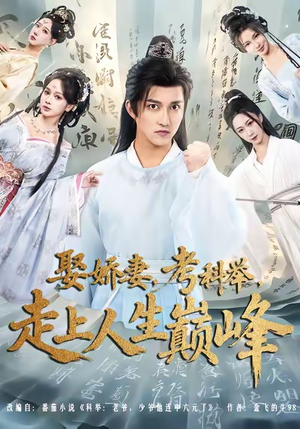 娶娇妻，考科举，走上人生巅峰（80集）短剧热门分享