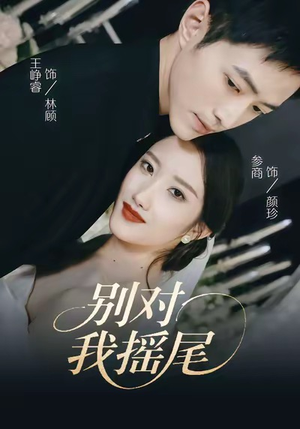 别对我摇尾(59集) 别对我摇尾(59集)精彩好看短剧
