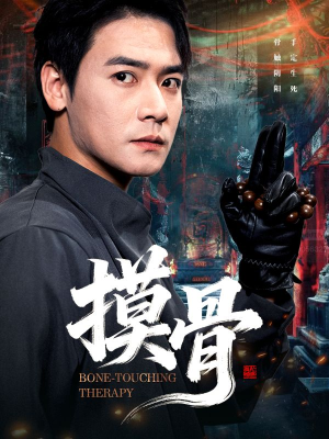 摸骨(74集) 摸骨(74集)直接追到结尾