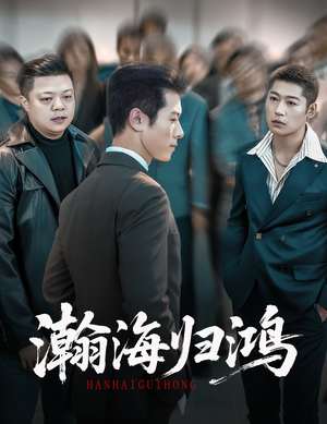 瀚海归鸿(74集) 瀚海归鸿(74集)超好看古装短剧