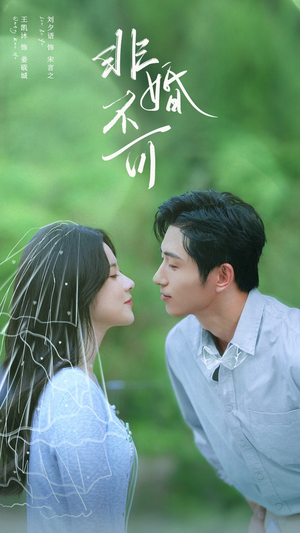 非婚不可（65集）热播短剧追不停