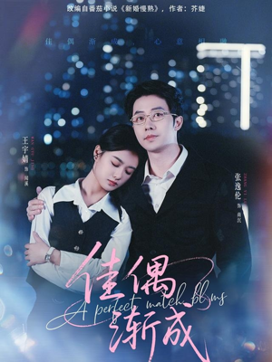 佳偶渐成(71集) 佳偶渐成(71集)热播短剧重燃