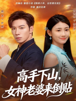 高手下山,女神老婆来倒贴(80集) 高手下山,女神老婆来倒贴(80集)1-102集
