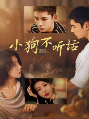 小狗不听话（70集）短剧推荐来了