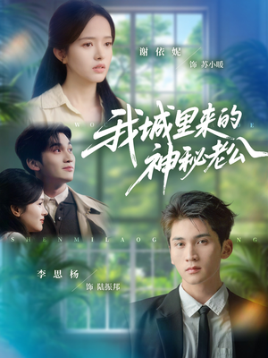 我城里来的神秘老公(30集) 我城里来的神秘老公(30集)好看短剧推荐