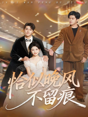 恰似晚风不留痕(61集) 恰似晚风不留痕(61集)剧情简介