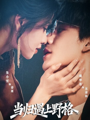 当归遇上野格(66集) 当归遇上野格(66集)短剧也太好看了