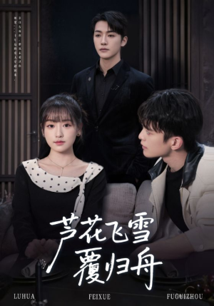 芦花飞雪覆归舟(77集) 芦花飞雪覆归舟(77集)完整版免费观看