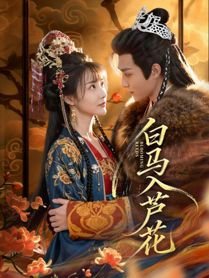 白马入芦花(59集) 白马入芦花(59集)短剧解说全集