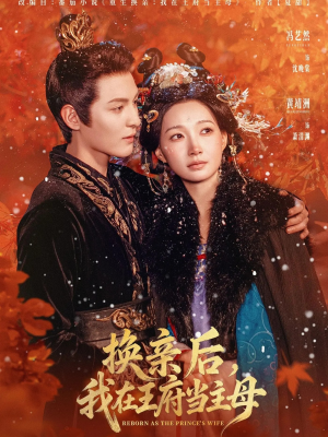 换亲后，我在王府当主母（80集）最火的短剧