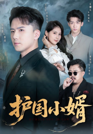 护国小婿（60集）在线看到大结局