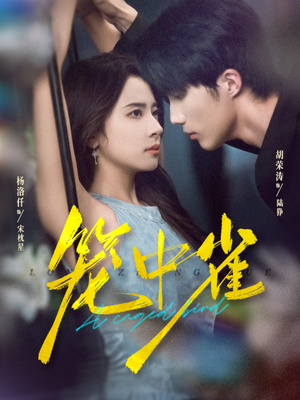 笼中雀（65集）正能量短剧分享