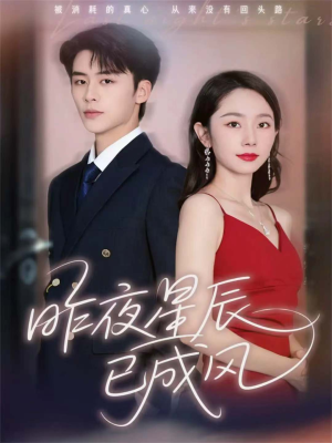 昨夜星辰已成风（75集）在线播放