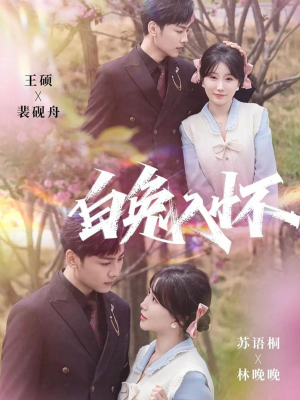 白兔入怀（60集）每天分享短剧