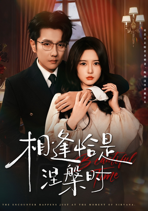 相逢恰是涅槃时（63集）短剧全集免费看