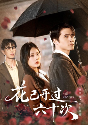 花已开过六十次（72集）甜宠短剧推荐