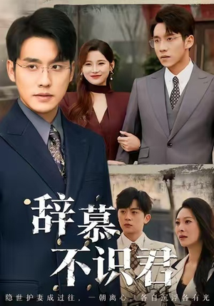 辞慕不识君（77集）短剧爆款推荐