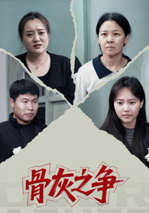 骨灰之争（30集）热门爆款短剧