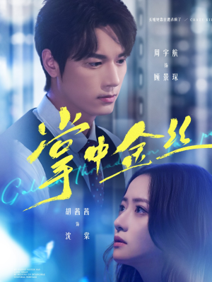 长姐她竟是隐藏大佬(60集) 长姐她竟是隐藏大佬(60集)短剧演员排行榜