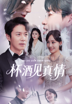 杯酒见真情（68集）短剧在线更新