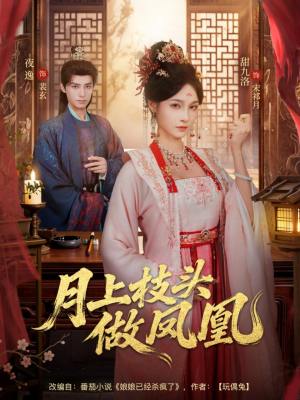 月上枝头做凤凰(80集) 月上枝头做凤凰(80集)1-102集